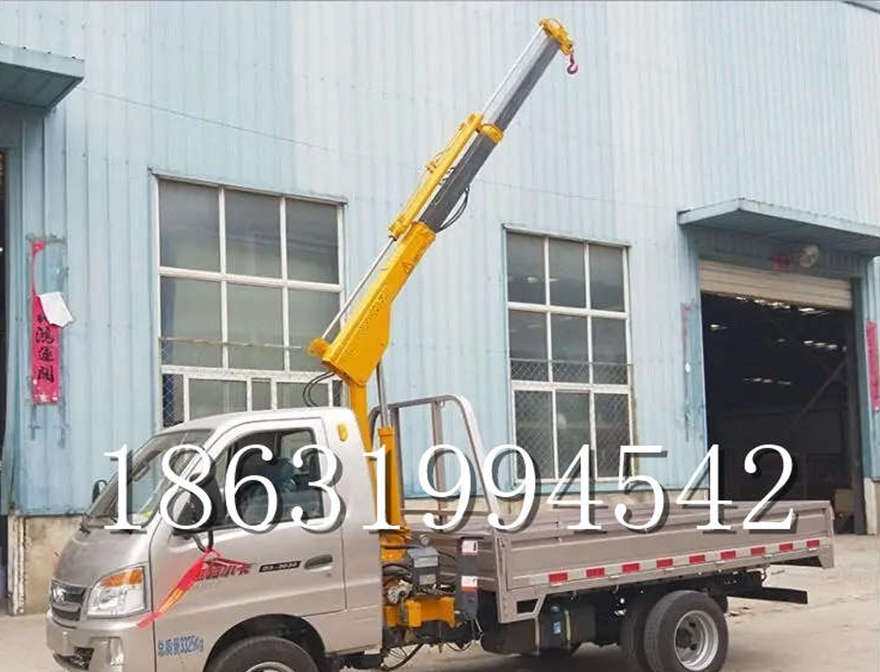 威远县车载吊机小型车载吊机220v移动吊机1/2吨吊机小吊机220V威远县附近小吊机220V